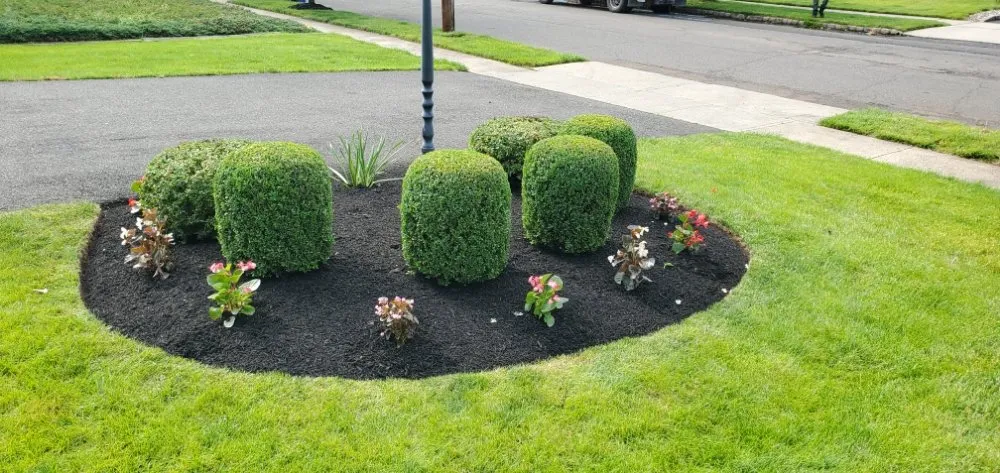 Custom landscape design for outdoor upgrades in Somerville, NJ by D&E Landscaping
