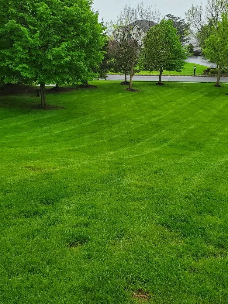 Local outdoor landscaping for year-round maintenance across Somerville, NJ - D&E Landscaping