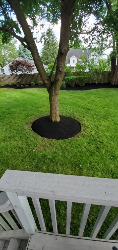 Reliable lawn care service with custom design in Somerville, NJ by D&E Landscaping