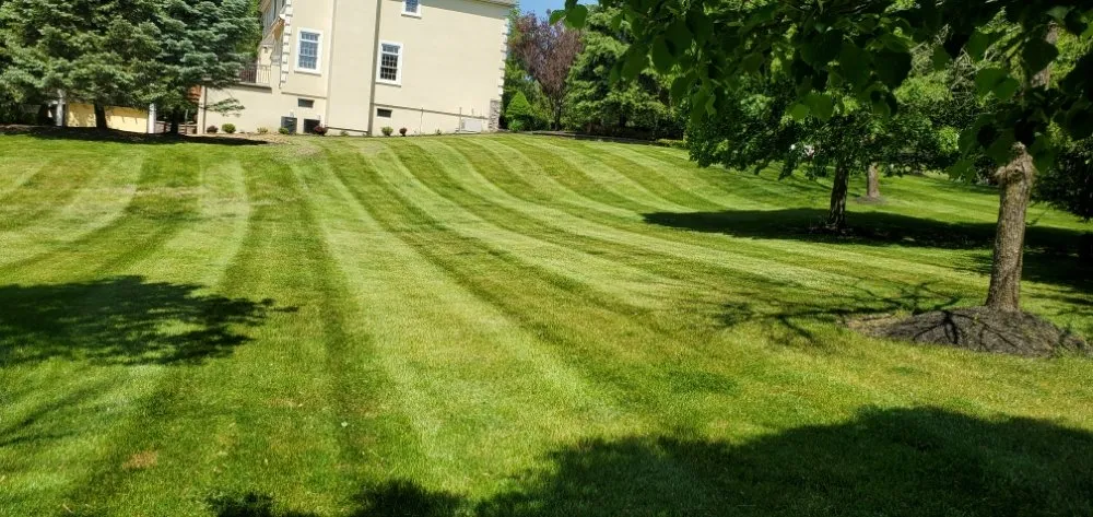 Professional landscape installation in Somerville, NJ by D&E Landscaping