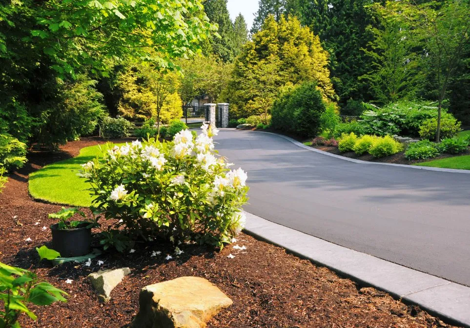 Trusted yard cleanup service experts serving Covington, LA - De León & Company