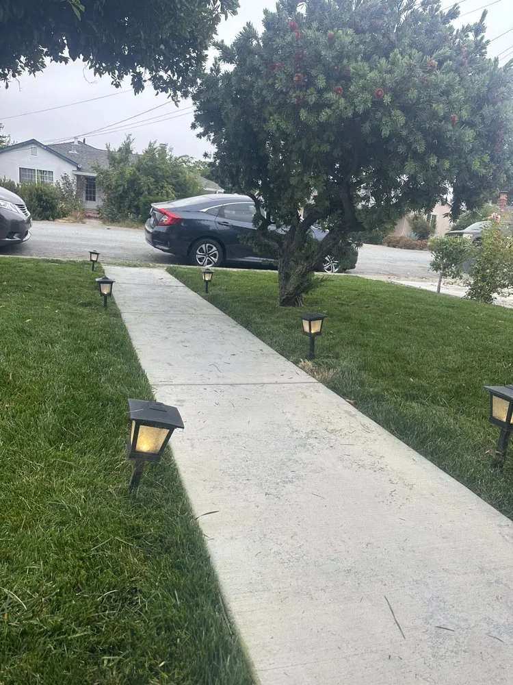 Custom lawn care service for beautiful yards in Hayward, CA by De León Landscaping