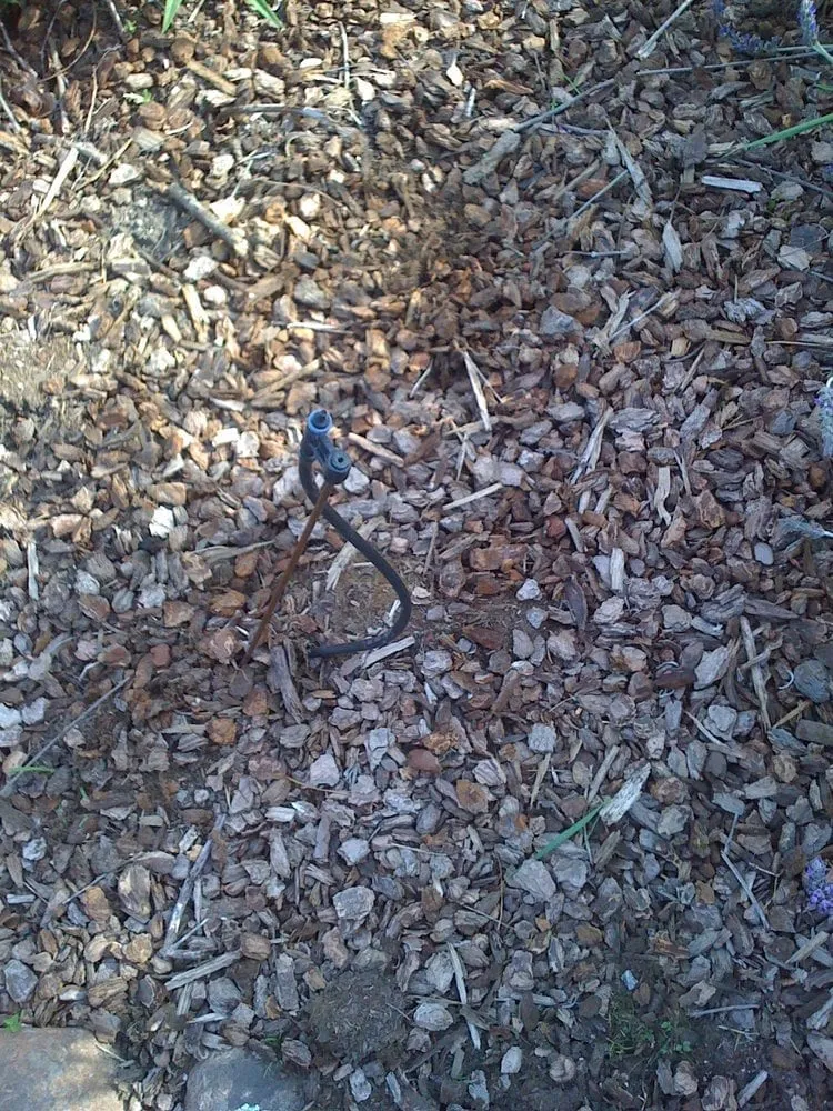 Trusted landscaping services in Half Moon Bay, CA - De Leon Gardening Services