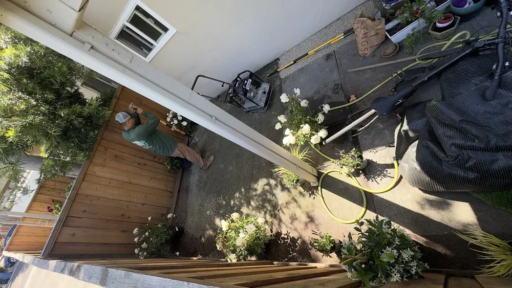 Trusted lawn care service experts serving East Palo Alto, CA - De Leon Landscaping Creations