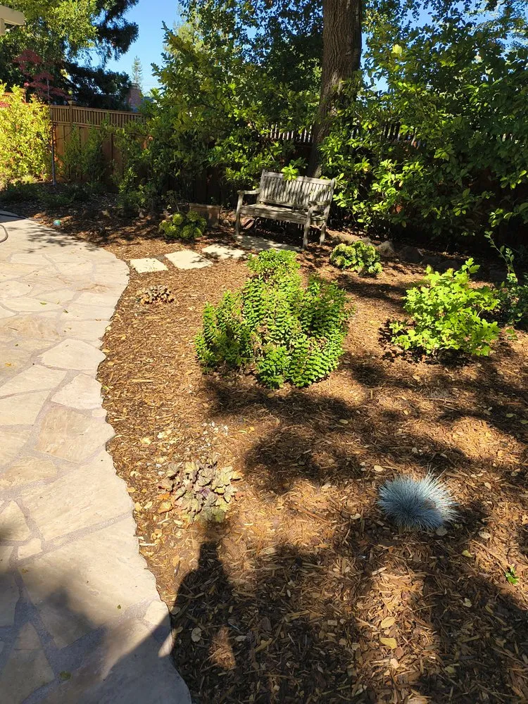 Affordable outdoor landscaping in East Palo Alto, CA - De Leon Landscaping Creations