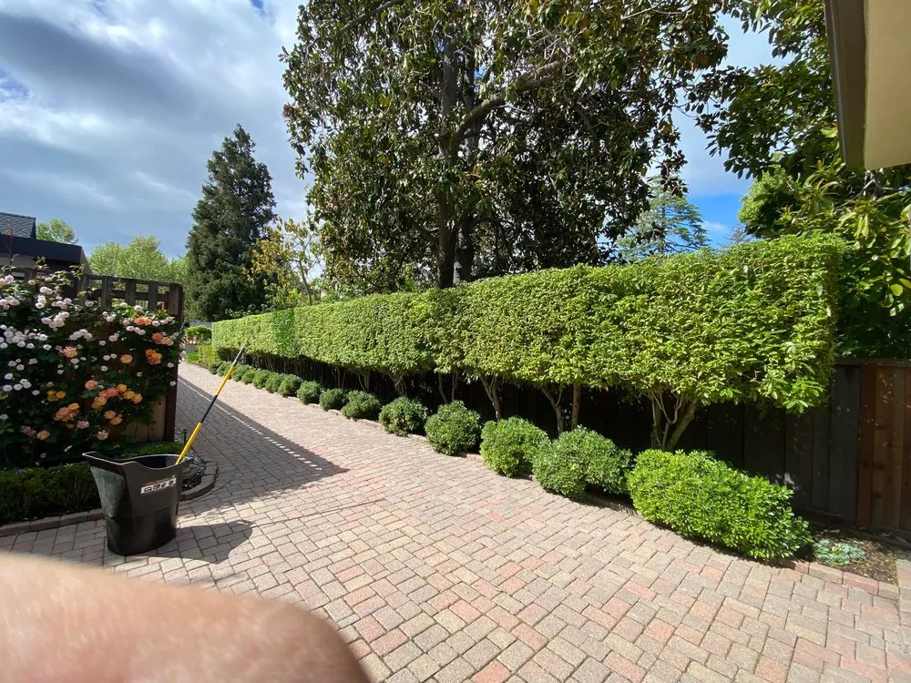 Top-rated landscaping services for homes in East Palo Alto, CA by De Leon Landscaping Creations