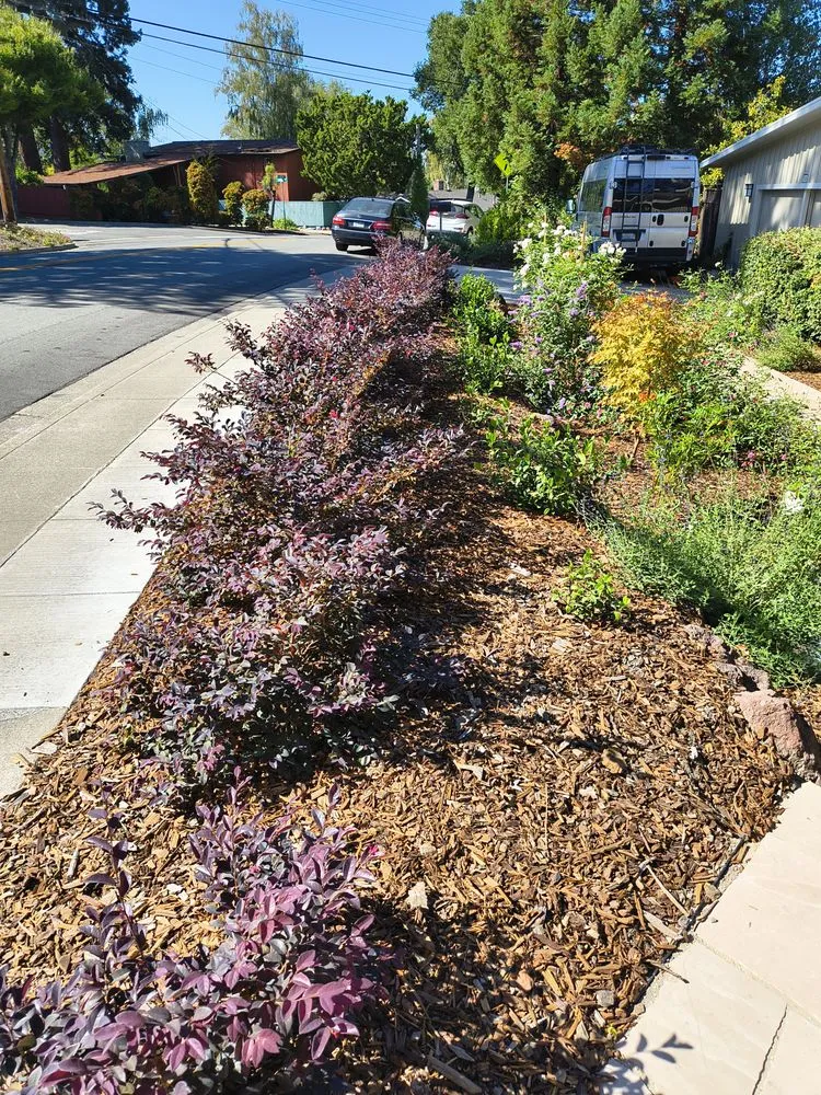 Local landscape design in East Palo Alto, CA - De Leon Landscaping Creations