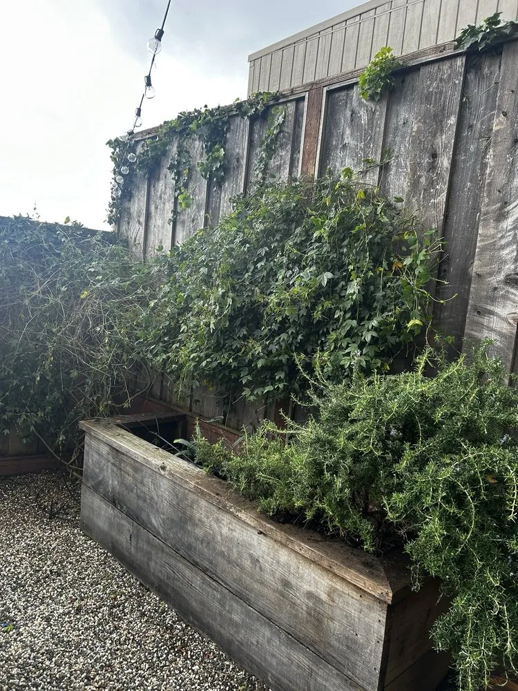 Affordable yard maintenance with custom design across East Palo Alto, CA - De Leon Landscaping Creations