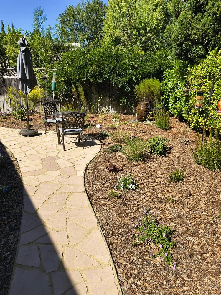 Affordable landscape installation in East Palo Alto, CA by De Leon Landscaping Creations