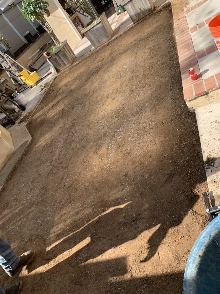 Reliable yard cleanup service for residential properties across Long Beach, CA - De Leon tree and landscape