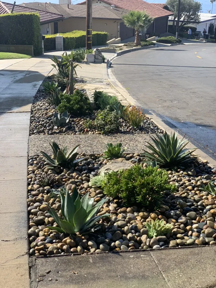 Professional residential landscaping in Long Beach, CA - De Leon tree and landscape