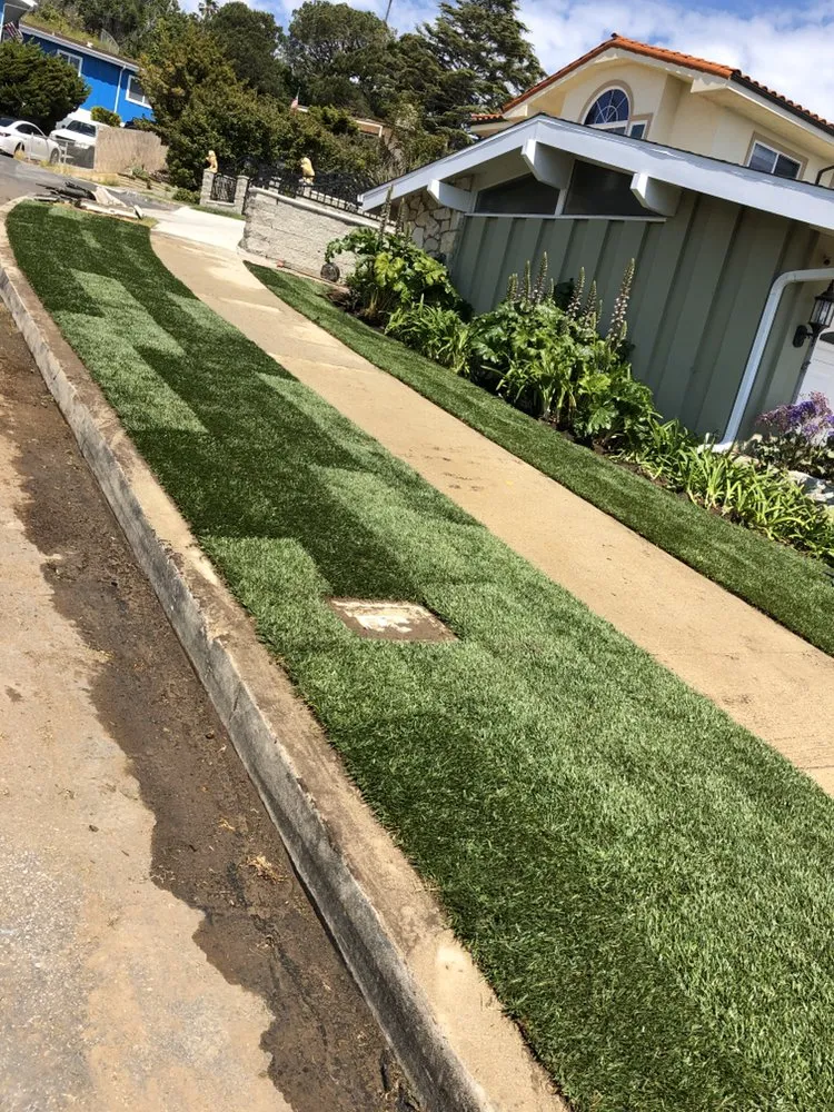 Top-rated garden landscaping in Long Beach, CA - De Leon tree and landscape