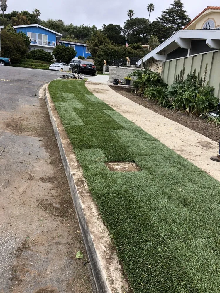 Trusted yard cleanup service in Long Beach, CA by De Leon tree and landscape