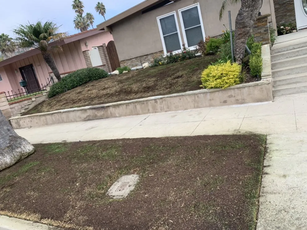 Reliable yard maintenance in Long Beach, CA - De Leon tree and landscape