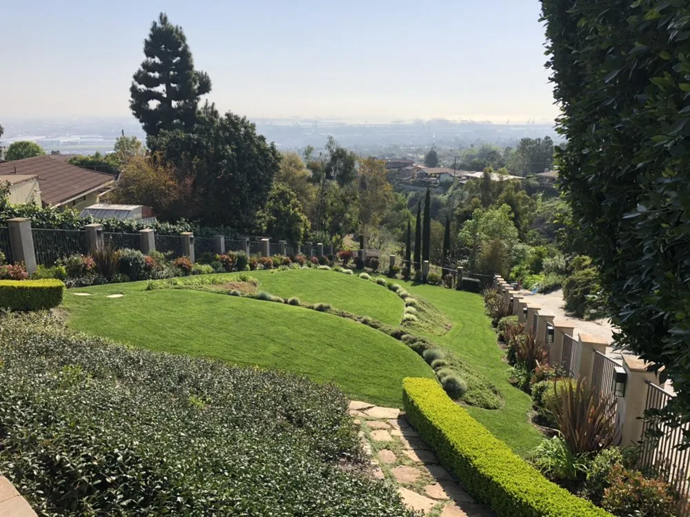 Local landscape installation in Long Beach, CA by De Leon tree and landscape