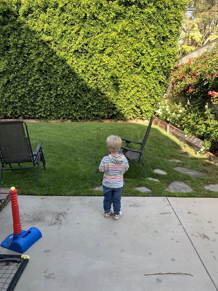 Custom landscape installation for year-round maintenance in Pasadena, CA by De Leon Tree Trimming & Landscaping