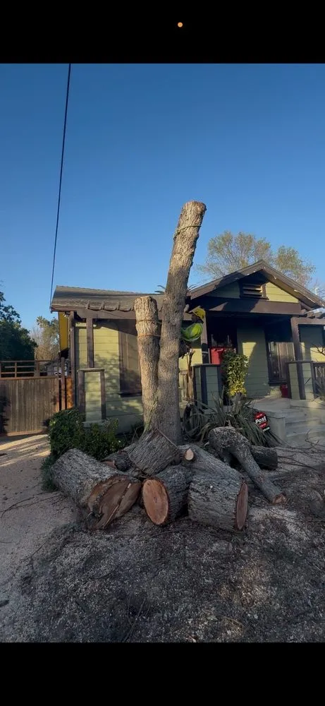 Professional landscaping services with custom design in Pasadena, CA by De Leon Tree Trimming & Landscaping