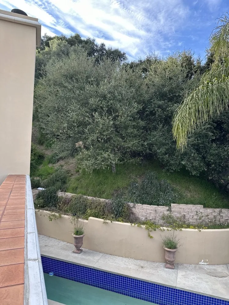 Custom lawn care service in Pasadena, CA - De Leon Tree Trimming & Landscaping