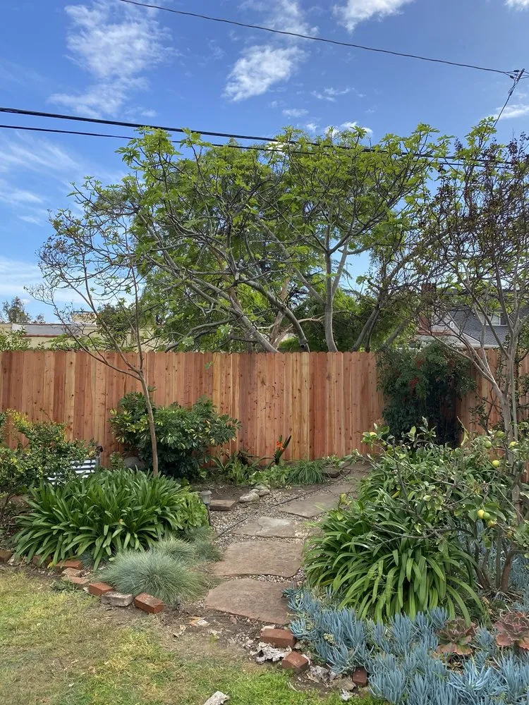 Reliable yard maintenance for beautiful yards in Pasadena, CA by De Leon Tree Trimming & Landscaping