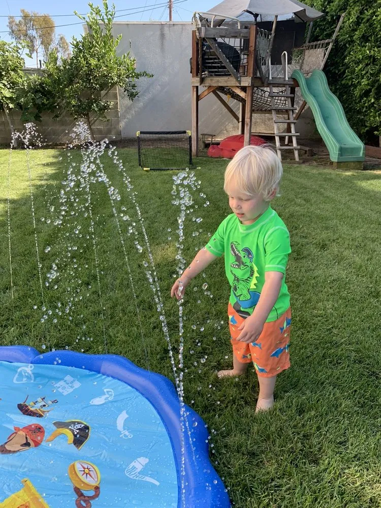 Affordable yard cleanup service near you across Pasadena, CA - De Leon Tree Trimming & Landscaping