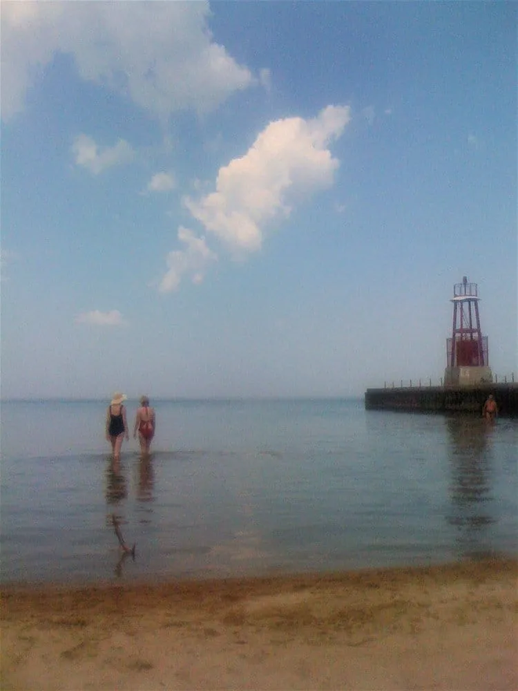 Trusted lawn care service experts serving Pasadena, CA - De Leon Tree Trimming & Landscaping