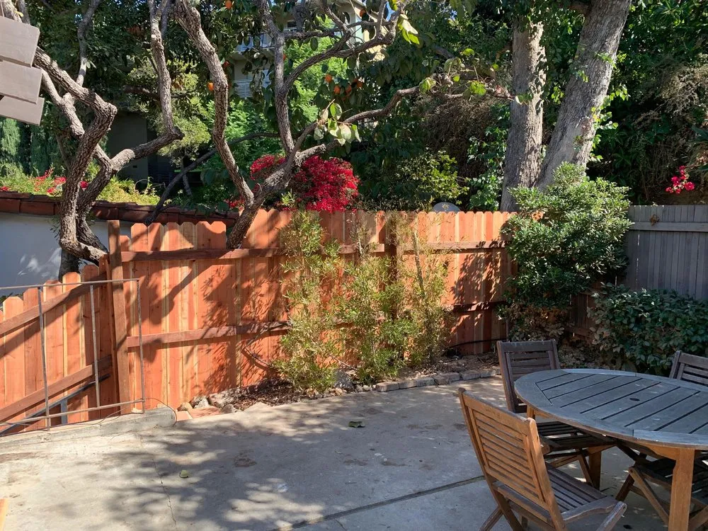 Reliable yard maintenance in Pasadena, CA - De Leon Tree Trimming & Landscaping