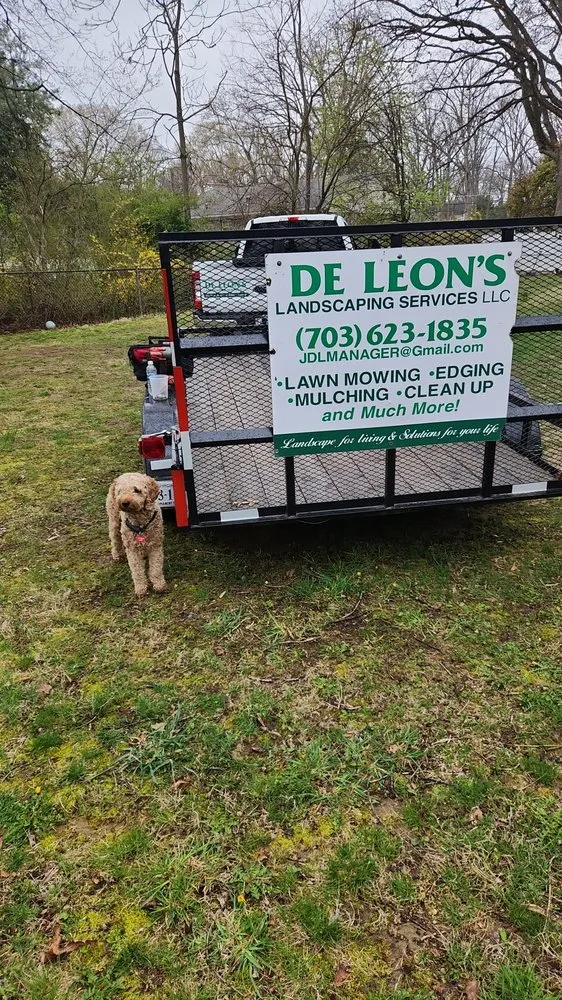 Trusted landscape design in Springfield, VA - De Leon's Landscape