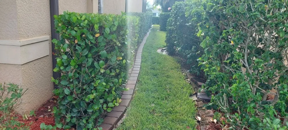 Local garden landscaping for year-round maintenance across Bonita Springs, FL - De Leon’s Landscaping