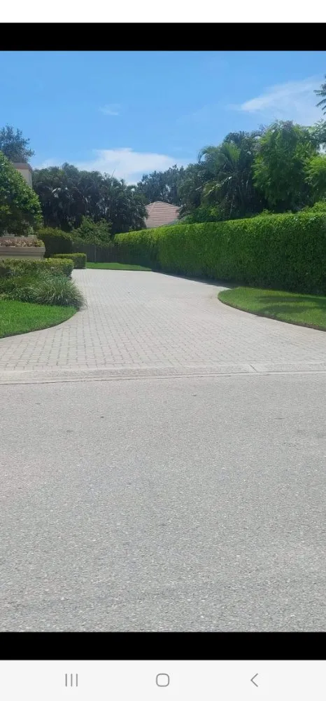 Local landscaping services for year-round maintenance in Bonita Springs, FL by De Leon’s Landscaping