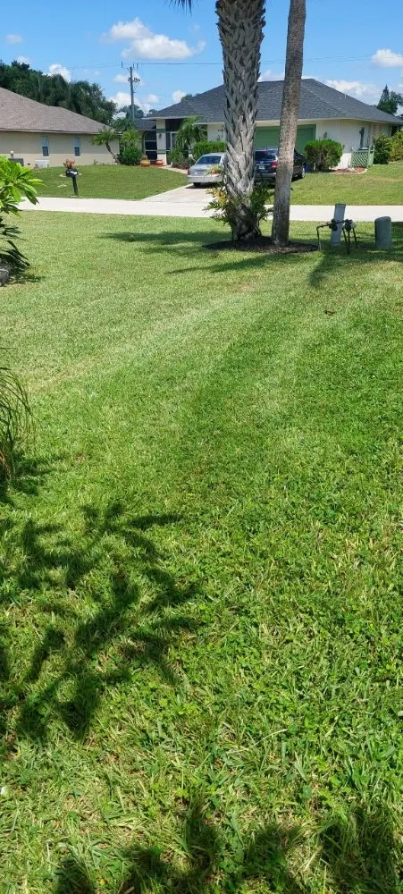 Affordable outdoor landscaping for beautiful yards in Bonita Springs, FL by De Leon’s Landscaping