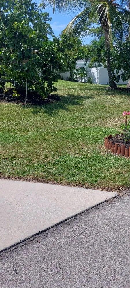 Custom landscaping services in Bonita Springs, FL - De Leon’s Landscaping