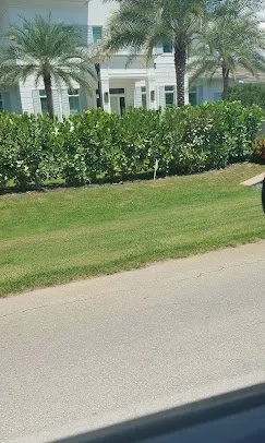 Top-rated lawn mowing service for outdoor upgrades in Bonita Springs, FL by De Leon’s Landscaping