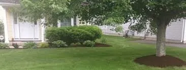 Custom landscaping services in San Antonio, TX by De Leons Landscaping