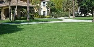 Expert lawn care service in San Antonio, TX by De Leons Landscaping