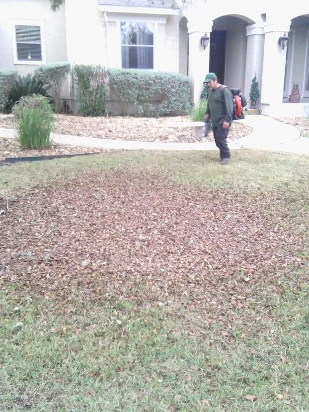 Affordable landscape design for outdoor upgrades across San Antonio, TX - De Leons Landscaping