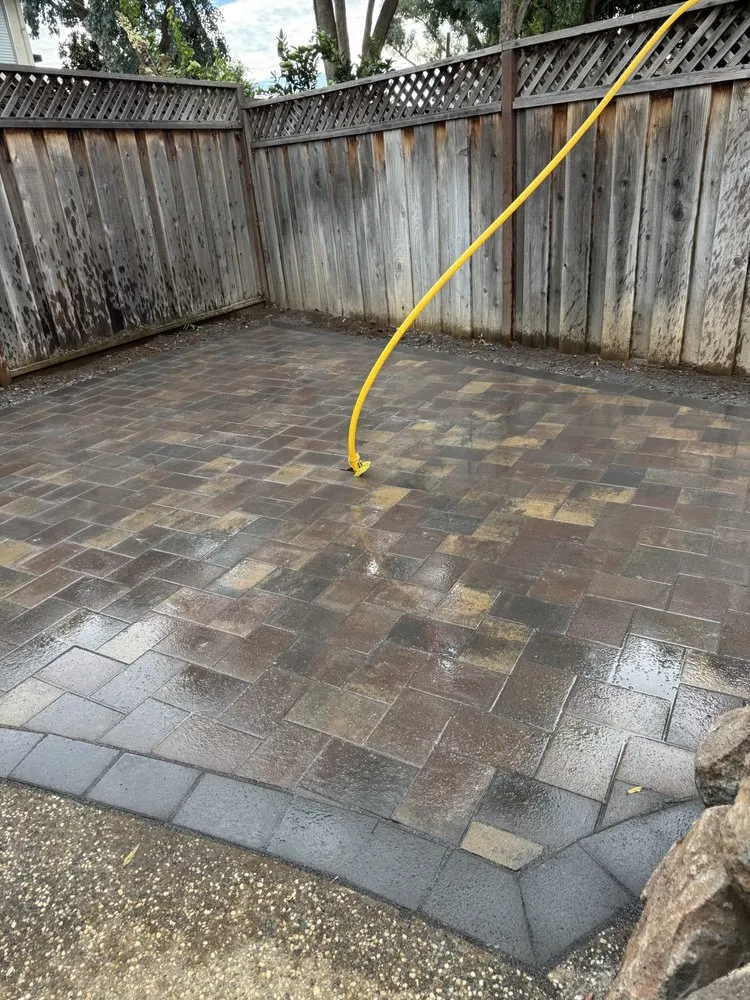 Affordable yard cleanup service in San Jose, CA by De Luna Landscaping