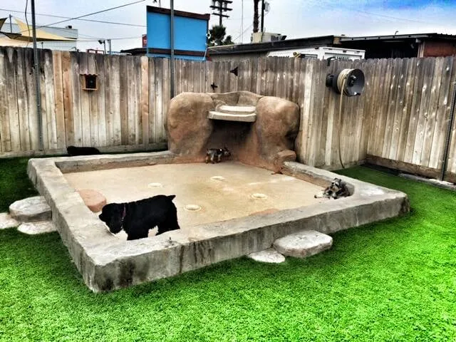 Affordable yard maintenance in Chula Vista, CA by De Mello Design