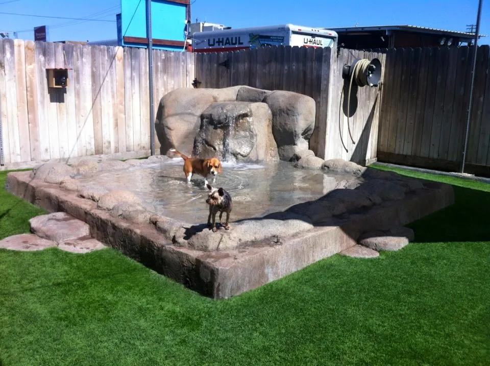 Top-rated landscape design in Chula Vista, CA by De Mello Design