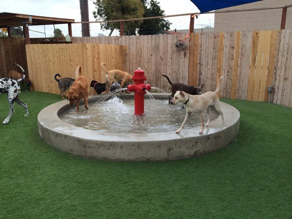 Affordable outdoor landscaping in Chula Vista, CA by De Mello Design