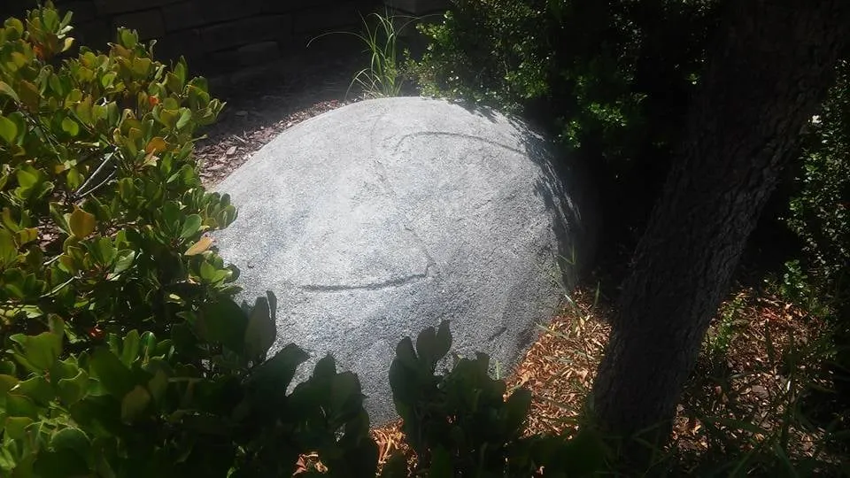 Local landscape installation for beautiful yards in Chula Vista, CA by De Mello Design