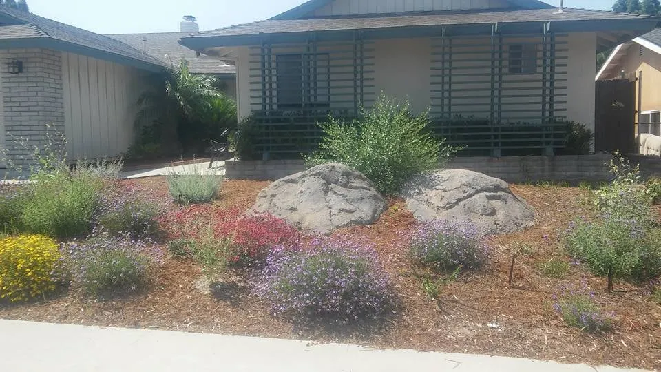 Reliable lawn mowing service in Chula Vista, CA by De Mello Design