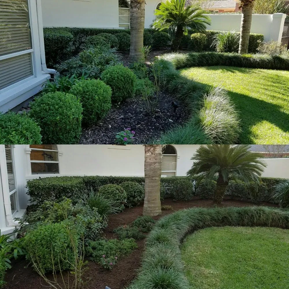 Reliable yard maintenance for year-round maintenance in Pearland, TX by De Novo