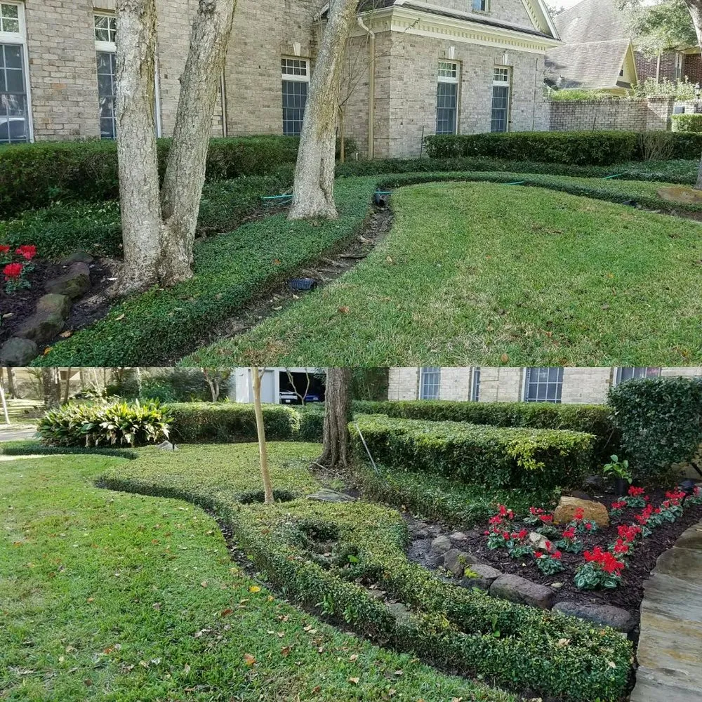 Trusted lawn mowing service for homes across Pearland, TX - De Novo