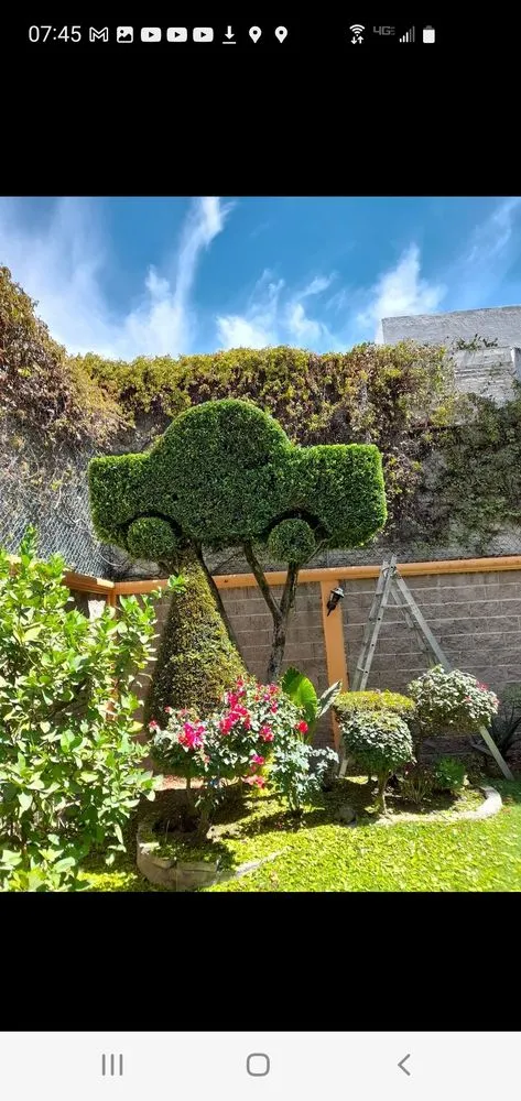 Professional lawn care service for residential properties across Stockton, CA - De Paz Landscaping