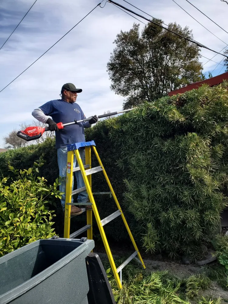 Expert yard maintenance for outdoor upgrades across Stockton, CA - De Paz Landscaping