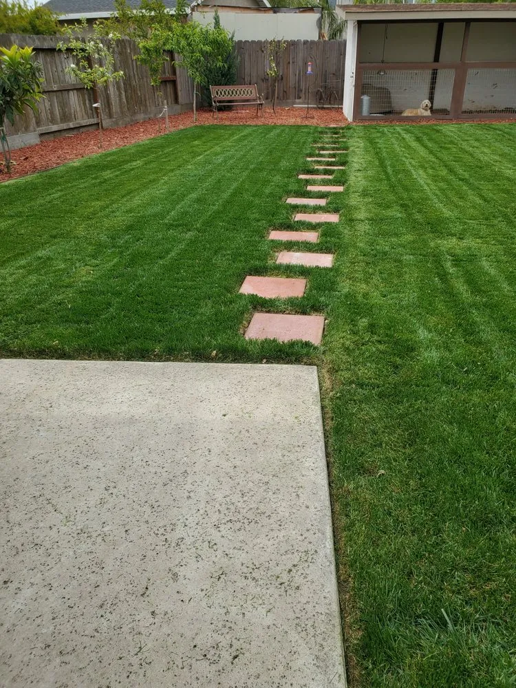 Top-rated landscape installation for year-round maintenance in Stockton, CA by De Paz Landscaping