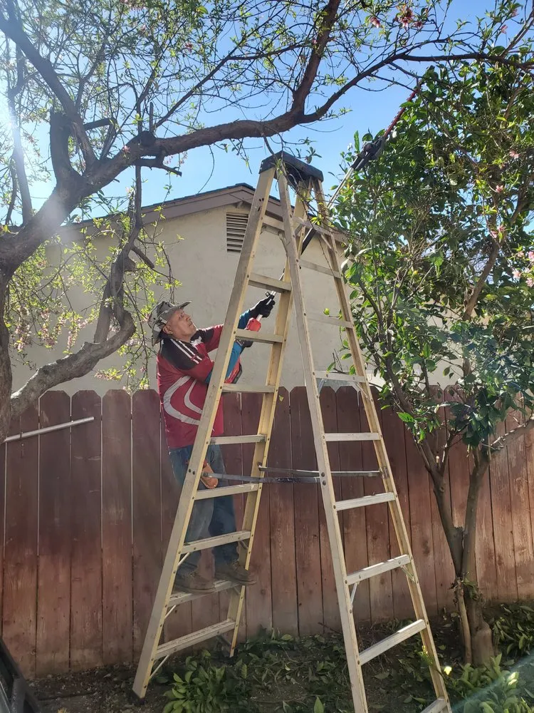 Affordable landscape design experts serving Stockton, CA - De Paz Landscaping