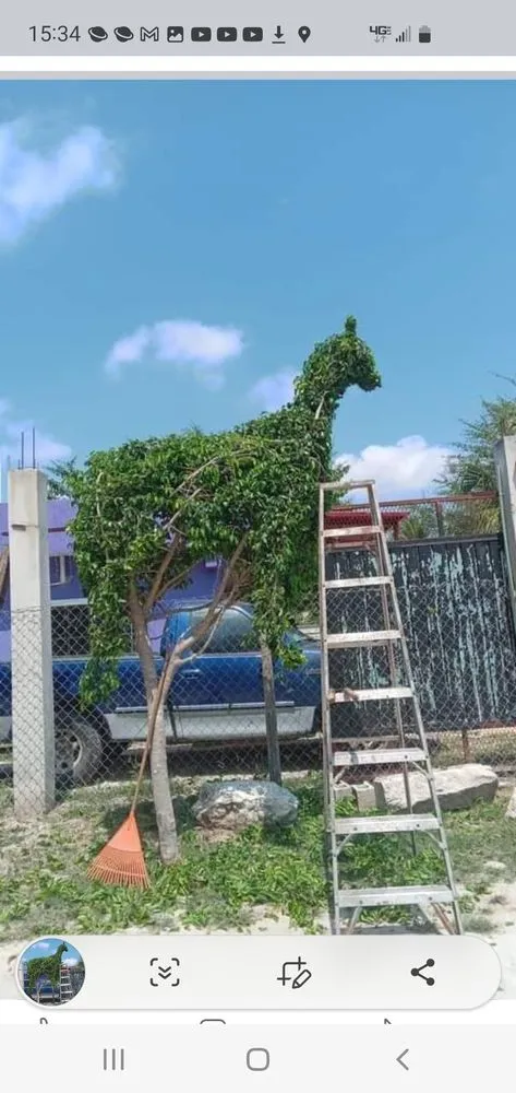 Trusted outdoor landscaping in Stockton, CA - De Paz Landscaping