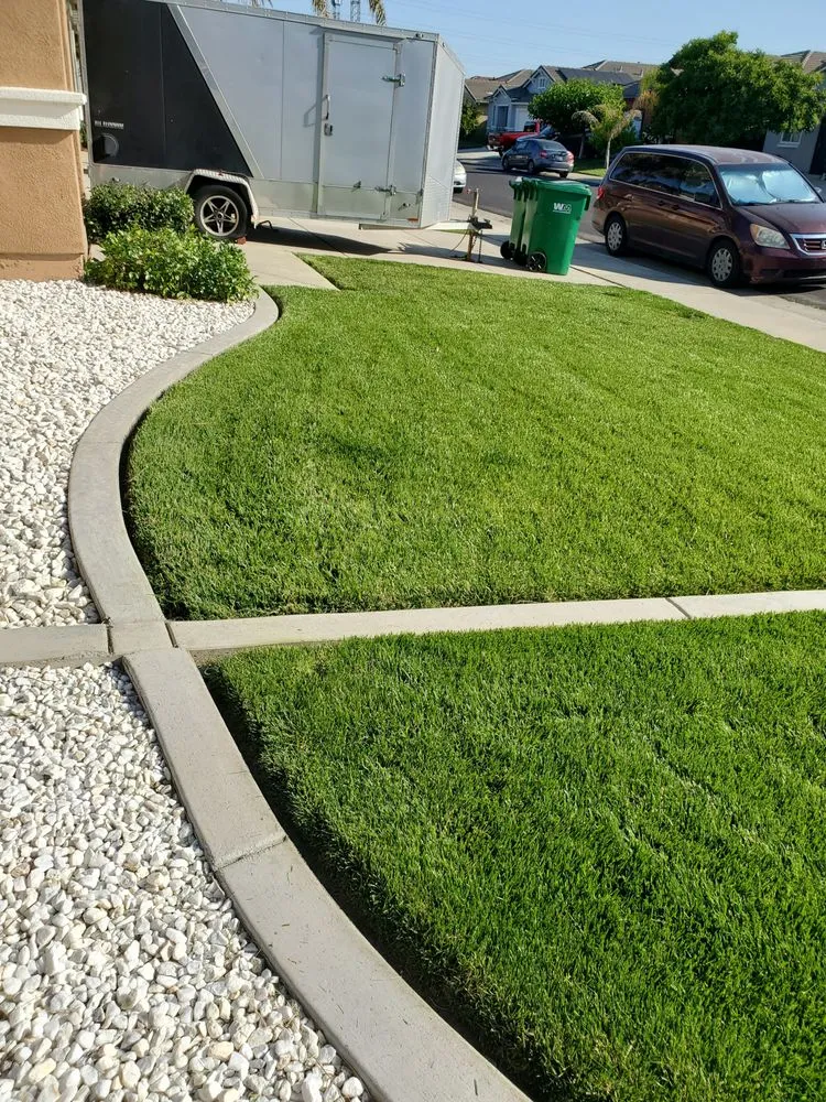 Affordable yard cleanup service in Stockton, CA by De Paz Landscaping