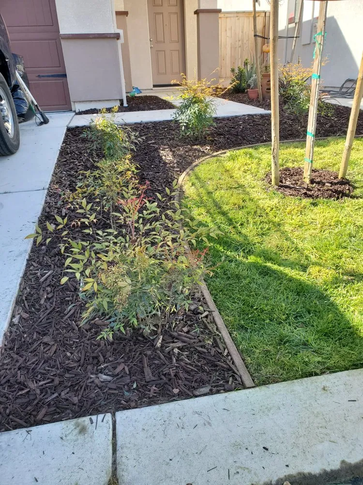 Trusted landscape design with custom design in Stockton, CA by De Paz Landscaping